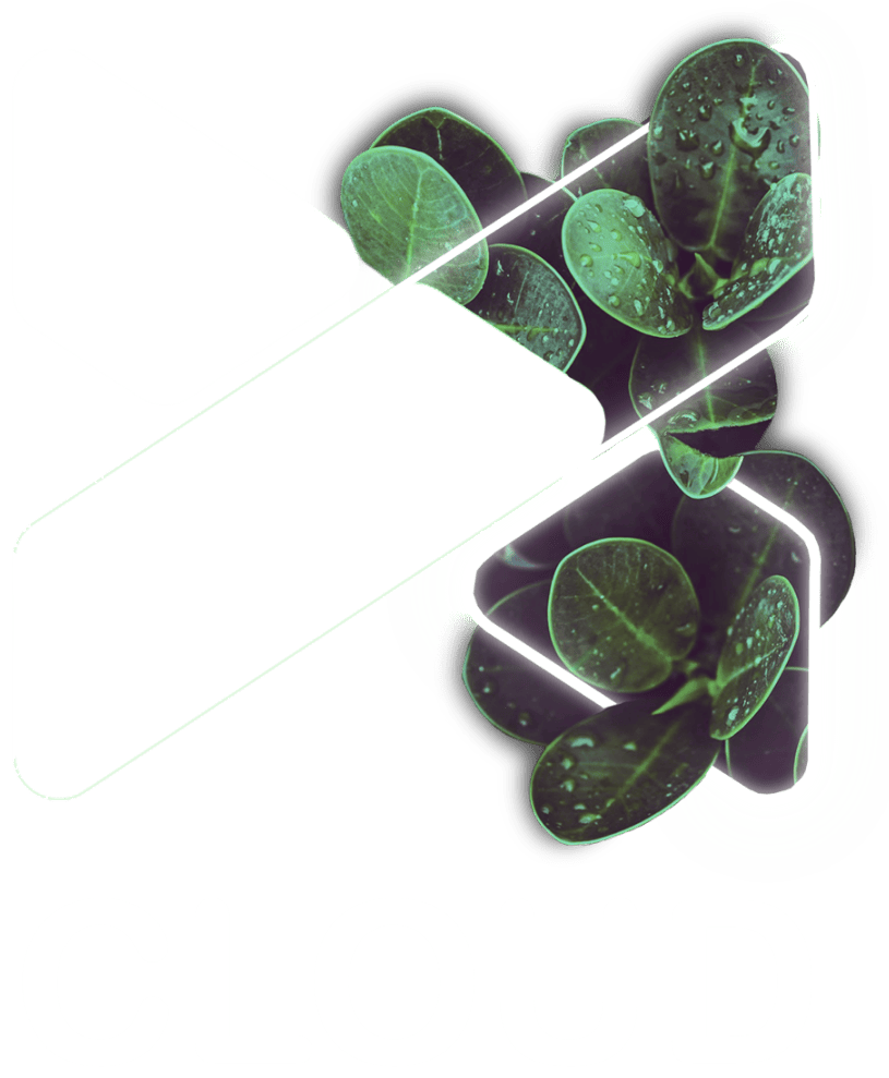 Logo Xcloud